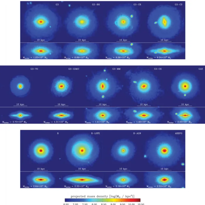 Fig. 2 shows face-on and edge-on maps of the projected stellar mass density for the 13 runs