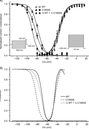 Figure 2 Wild-type (WT) and C1850S currents recorded in HEK293 cells and their simulations