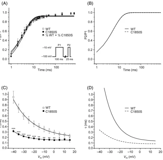 Figure 4 Recovery from inactivation and onset of inactivation. (A) Recovery from inactivation recorded at 378C (protocol in inset) was characterized by the time to half recovery (Table 1)