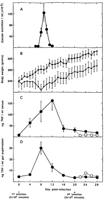 Fig. 1. Oocyst excretion (A), body weight (B) and TNF concentrations in sera (C) and supernatants from