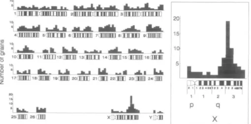 Figure 4. Localization of the F-VIII gene In sheep Histogram of silver grain distribution in 88 metaphases after hybridization with a human 3kb F-VIII cDNA probe A peak was found on the X chromosome In the region  Xq24-q33