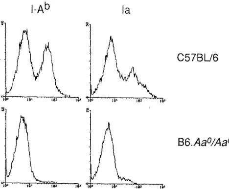 Fig. 2. Cytofluorometric analysis of B lymphocytes for surface expression of MHC class II molecules