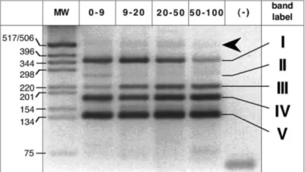 Fig. 1. HaeIII RFLP patterns of archaeal 16S rDNA fragments ampli-