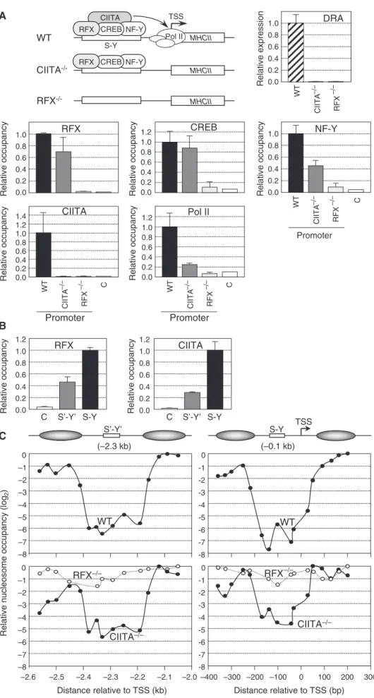 Figure 2. Nucleosome eviction at the HLA-DRA gene in B cells. (A) HLA-DRA mRNA expression was measured by qRT–PCR in WT, CIITA- CIITA-deﬁcient and RFX-CIITA-deﬁcient B cell lines