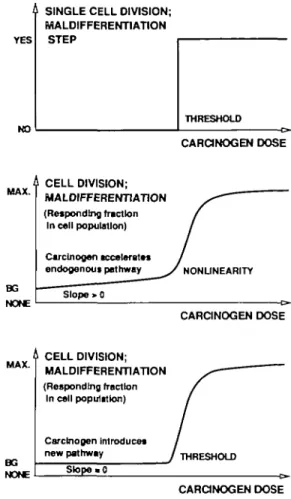 Fig. 3. Possible shapes of dose—response curves for carcinogens that affect the rate of cell division or maldifferentiation