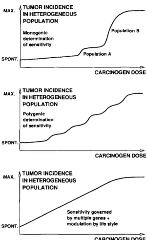 Fig. 4. Schematic representation of dose-effect relationships in