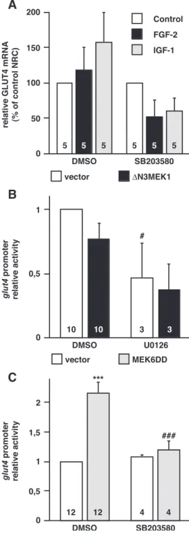 Fig. 6. Activation of the glut4 promoter by the p38 MAPK pathways. (A) Quantitative analysis of GLUT4 mRNA expression in neonatal rat cardiomyocytes (NRC) in primary culture in presence of 0.1% DMSO or SB203580 (SB; 10 AM)