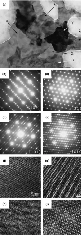 FIG. 8. (a) EDP along the [010] zone axis of the O E approximant phase and (b) EDP along the [010] zone axis of the O F approximant phase.