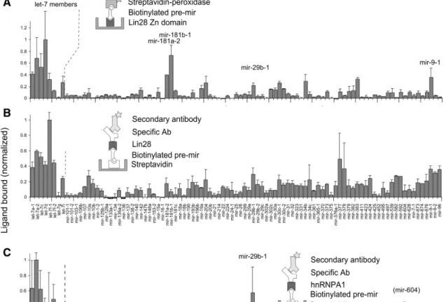 Figure 2. Recognition of pre-miRNAs by native and recombinant RBPs in microtiter plate screening assays (A–D)