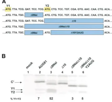 Table 1. A reÂsumeÂ of the results of the deletion analysis in Figure 2