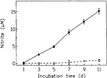 Figure 1. Spontaneous formation of nitrite in cell culture medium (RPMI 1640) supplemented with 5% fetal bovine serum, human  re-combinant IL-4 (200 V/mL), and humanrecombinant IFN-y (500 VI mL)