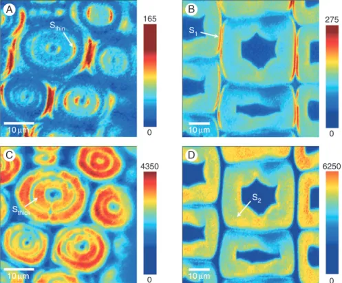 Figure 8 shows the comparison of mechanical properties by compiling typical stress – strain curves of fibres and tissues for bamboo and spruce latewood, calculated on the basis of cell wall cross-sections for better comparability