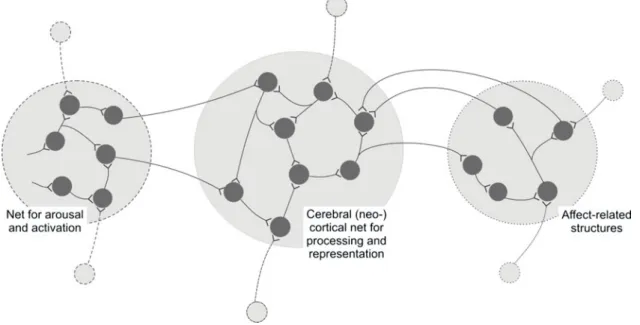 Figure 1 (Staniloiu and Markowitsch). A schematic sketch of a neural net composed of three interacting subsets.