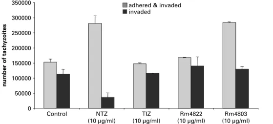 Fig. 3. Analysis of the eﬀects of the nitrothiazoles NTZ and TIZ and the bromoderivatives Rm4822 and Rm4803 on host cell adhesion and invasion