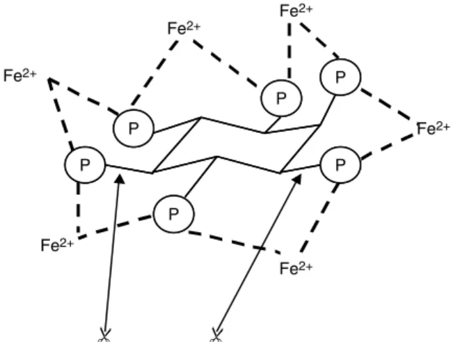 Fig. 3. Structure of phytic acid. Inositol hexaphosphate binds diva- diva-lent metal ions (Fe 2+ ) via phosphate groups (P)