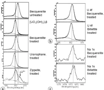 Fig. 9. (a) U 4 f spectra taken from untreated surfaces of becquerelite and [(UO 2 ) (OH) 2 ]- β and from becquerelite, zippeite and uranophane surfaces treated with deionized water (see labels); vertical lines  in-dicate the location of the U 6+ bands in 