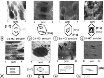 Fig. 6. AFM images in height mode of etch pits on the surface of (a–d) fourmarierite and (e–h) Na-substituted metaschoepite formed in a (a, e) Mg-HCl solution of pH 2, (b, f) Ca-HCl solution of pH 2; (c, g)  Ba-HCl solution of pH 2; (d, h) K-Ba-HCl solutio