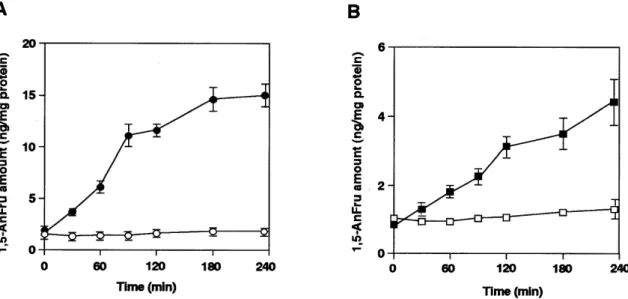 Fig. 3. Lyase activity measurement in mutant mouse lymphoma PHAR2.7 cells and in glucosidase II deficient yeast cells