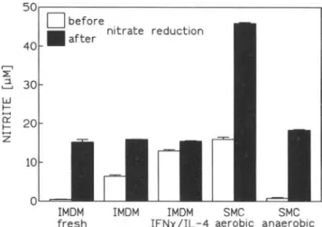 Figure 5. Nitrite determination in cell-free media and smooth mus- mus-cle cell (SMC) culture supernatants before and after total nitrite and nitrate measurements