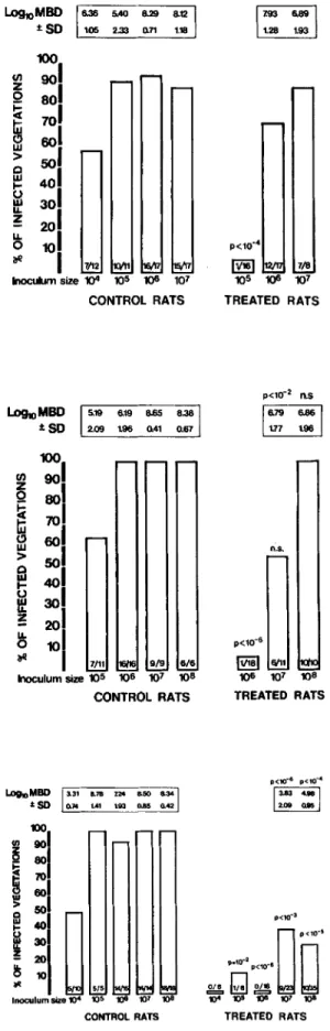 Figure 2. Incidence of endocarditis in control and amoxicillin-treated rats three days after bacterial challenge with (top) Streptococcus intermedius,  (mid-dle) Streptococcus sanguis, and (bottom) Streptococcus mitior