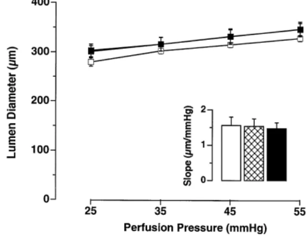 Fig. 1. Change of lumen diameter as a function of in vitro perfusion