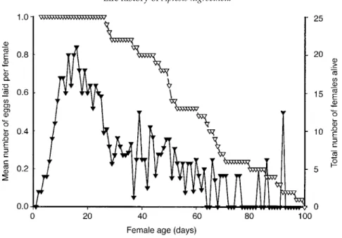 Fig. 3. Dry weight (+ SD) of Aptesis nigrocincta females and males directly after emergence (young) and at death (old)
