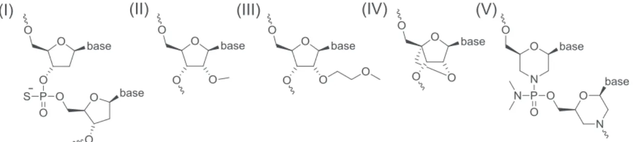 Figure 1. Structures of chemically modiﬁed oligonucleotides in Table 1. (I) Phosphorothioate oligodeoxyribonucleotide; (II) 2 0 -O-methyl- -O-methyl-ribonucleotide (2 0 -O-Me); (III) 2 0 -O-methoxyethyl (MOE)-ribonucleotide; (IV) LNA; and (V) Morpholino nu