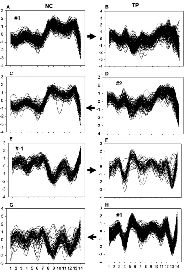 Figure 5. Reproducibility of the HVE gene co-expression in two unrelated sample groups: NC (normal controls) and TP (TRAPS patients).