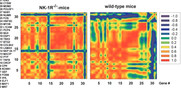 Figure 7. Mosaic of correlation coefﬁcients of the HVE-genes in wild-type and NK1R–/– mice