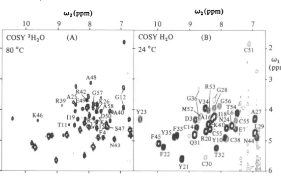 Fig. 3. (A) Contour plot of the spectral region (w, = 15-6-0 ppm, w 2  = 6'6- 6'6-108 ppm) of the COSY spectrum in Fig
