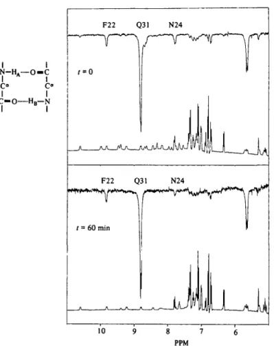 Fig. 5. Upper part: 360 MHz NOE differences spectrum (4000 scans) of a 20 min solution of the basic pancreatic trypsin inhibitor in  2 H 2 O at p 2 H 46, 24 °C.