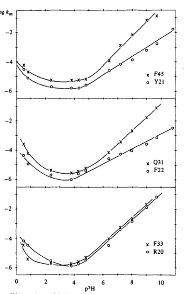 Fig. 7. p 2 H dependence of the hydrogen exchange rates at 45 0  of two pairs of amide protons of the triple stranded /?-sheet (Phe 45 and Tyr 21, Gin 31 and Phe 22) and one pair of the double stranded /J-sheet (Phe 33 and Arg 20)