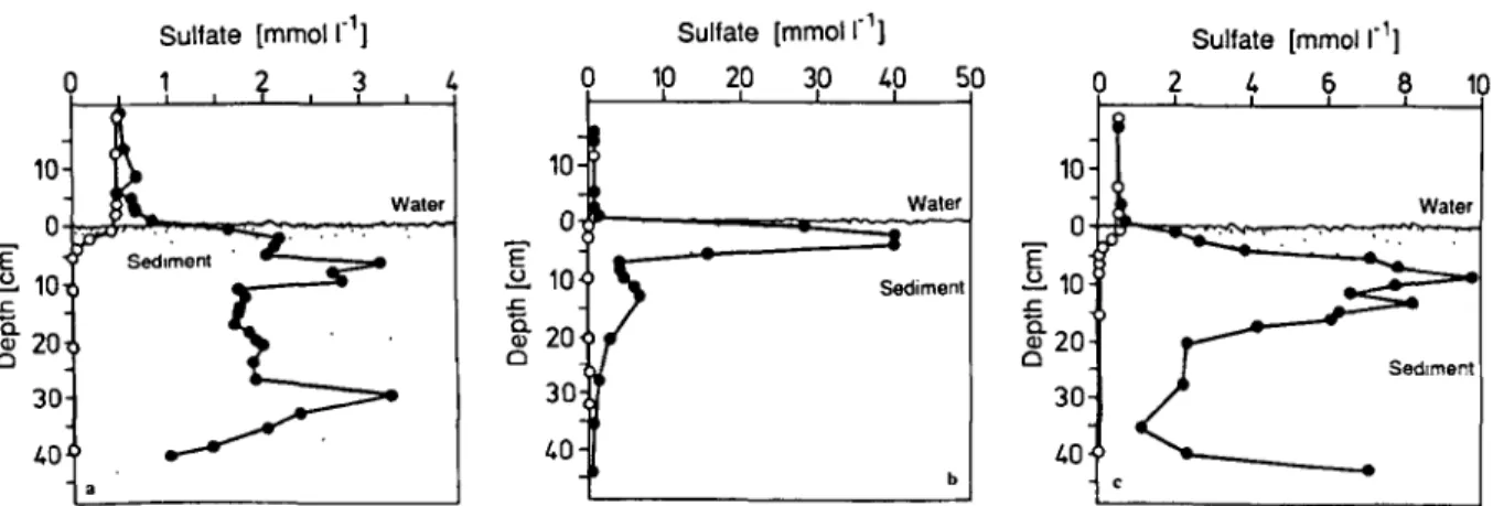 Fig.  1.  Concentration-depth profiles with and without  the in  situ supply  of  sulfate from solid calcium sulfate  to  sediment pillows of  Lake Geneva at a water depth of  250  m