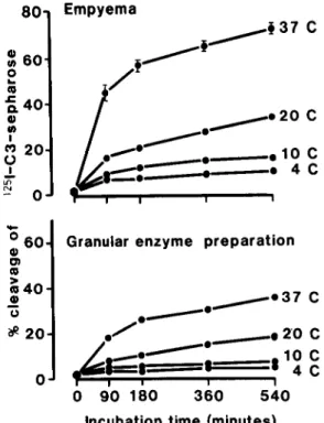 Table 2. Cleavage of 1'51-labeled C3 bound to Sepha- Sepha-rose by sonicates of clinical bacterial isolates.