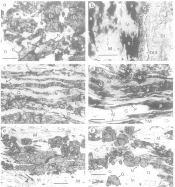 FIG. 2. Photomicrographs of metaquartz diorite (a, b), transition orthogneiss (c, d), and orthogneiss (e, f)