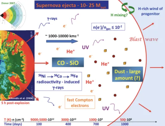Figure 1. A schematic view of the ejecta of a Type II supernova. On the upper left-hand corner, the pre-supernova core reﬂects the various stages of nuclear burning and the stratiﬁed lay-out of the heavy-elements in shells (Zinner 2007)