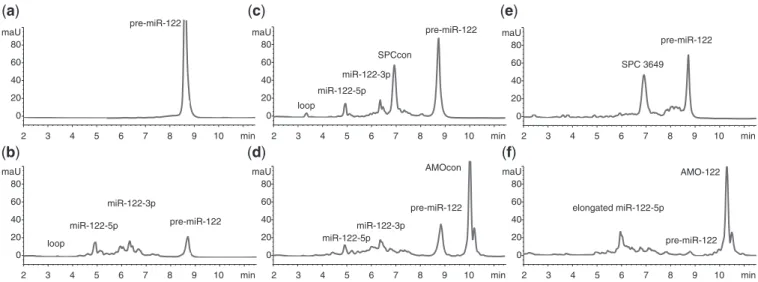 Figure 1. SPC3649 inhibits Dicer processing of pre-miR-122 in vitro. AntimiRs (5 mM) were added to synthetic pre-miR-122 in buffer (2.5 mM) before addition of Dicer