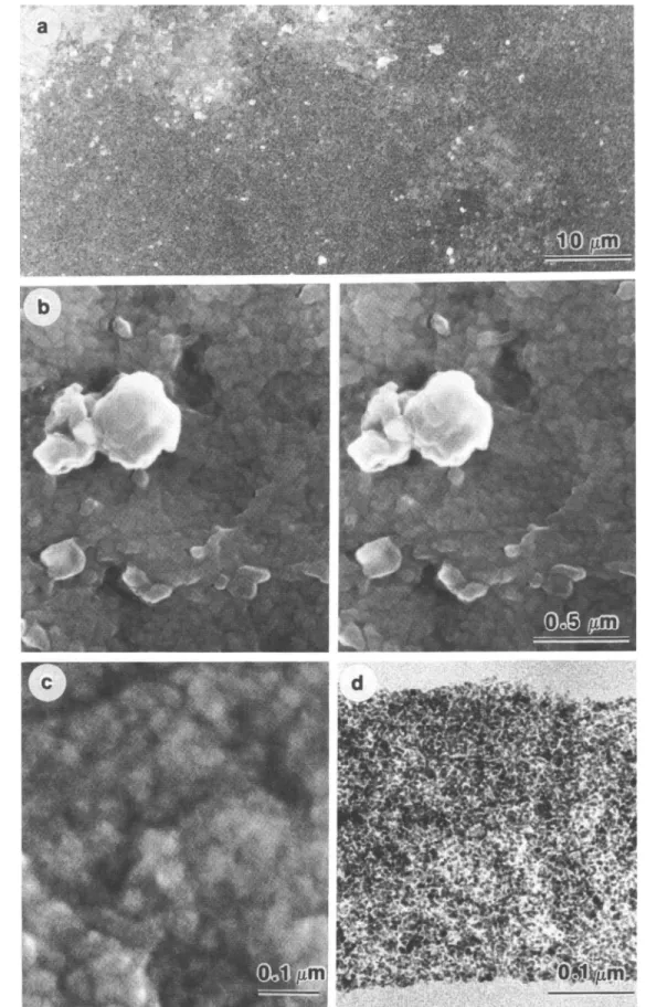 FIG. 4. Electron micrographs of spin-coated PbS-gelatin films, (a)-(c) SEM micrographs of a film containing 86.4 wt