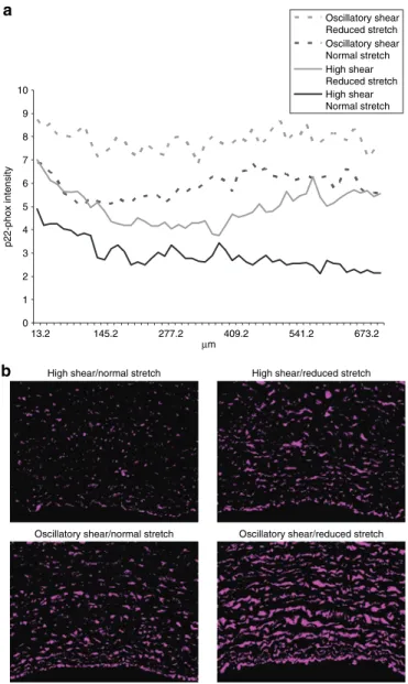 Figure 4 | mmP-2 expression. (a) The effect of reduced cyclic stretch and  oscillatory shear stress on mmP-2 expression as evaluated by immunoblot