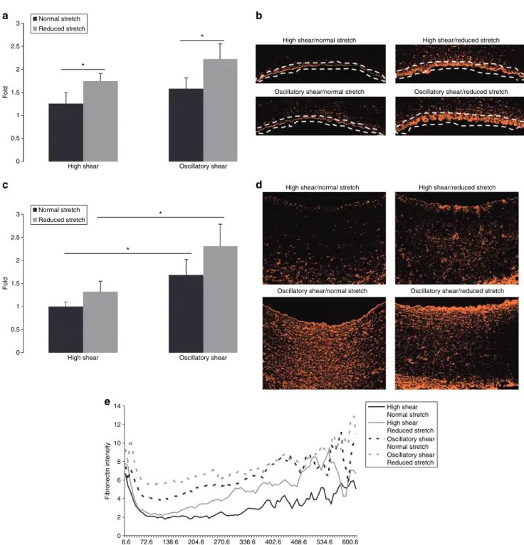Figure 6 | Fibronectin expression and distribution. (a) The effect of reduced cyclic stretch and oscillatory shear stress on endothelial fibronectin expression  as evaluated by image analysis