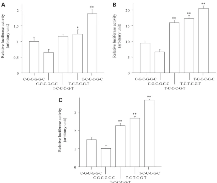 Figure 3. Relative promoter activity of different ABCA1 haplotypes in unstimulated cells (A), cells treated with 22(R)-hydroxycholesterol and 9-cis-retinoic acid (B) and cells treated with 8-bromoadenosine-3 0 ,5 0 -cyclic monophosphate (C)
