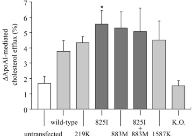 Figure 4. Results of apoAI-mediated cholesterol efflux assay of ABCA1 coding SNPs. Asterisk indicates P ¼ 0.003 comparing the rate of  apoAI-mediated cholesterol efflux in cells transfected with the plasmid expressing the 825I variant with that in cells tr