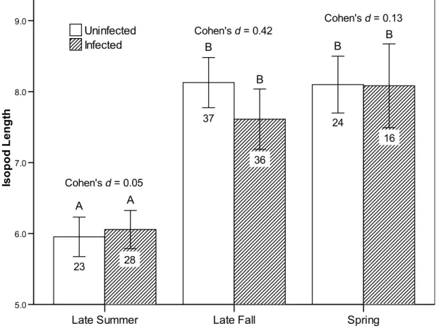 Fig. 3. The mean length (mm) of uninfected and infected isopods collected in August (late summer), October (late fall), and May (spring)