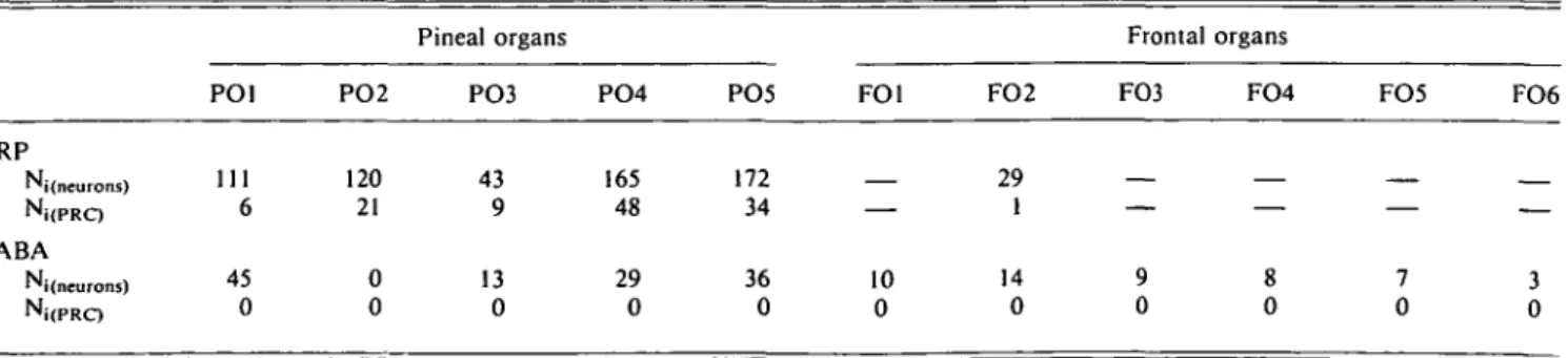 Table 1. Comparison of the numbers of HRP-backfilled projection neurons and photoreceptor-like bipolar cells (PRC) with the numbers of GABA-immunoreactive neurons in pineal and frontal organs of the frog Rana esculenta&#34;