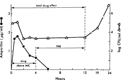 Figure 2. Relation of ampicillin con- con-centrations and bacterial titers in CSF of a representative rabbit that received 12.5 mg of ampicillin/kg iv at time zero