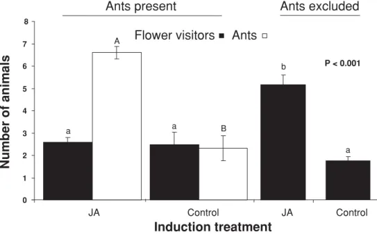 Figure 1. Conflict among ants and flower visitors after induction of extrafloral nectar secretion