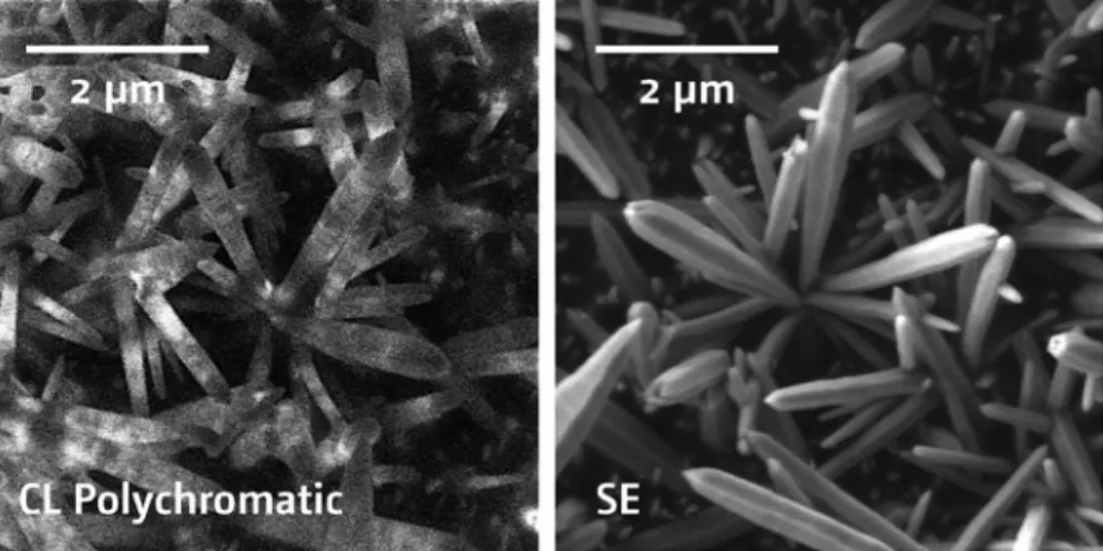 Figure 1:  ZnO nano-structures. The acquisition of a CL micrograph (left) does not affect the detection of  secondary electrons (right)