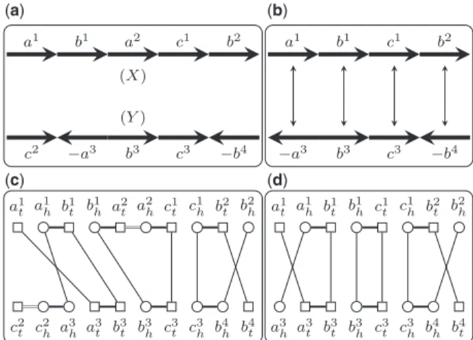 Fig. 1. (a) Two genomes X and Y. Genes in the same gene family are represented by the same symbol with different superscripts