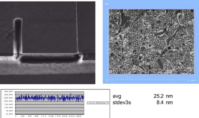Fig 1 – left top : Top view FIB image; right top : SEM image of the tissue, Bottom : slice thickness  per slice 0.005.0010.0015.0020.0025.0030.0035.001 30 59 88 117 146 175 204 233 262 Series 1 avg 25.2 nmstdev3s8.4 nm