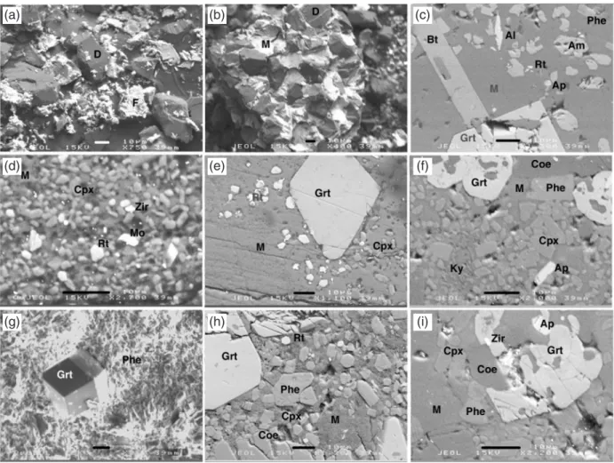 Fig. 2. Backscattered electron and secondary electron image (g) of experimental run products